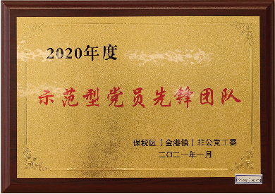 示范型党员先锋团队